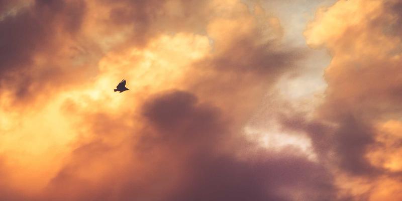 不锈钢在医疗器械制造中的关键角色：生物相容性与精密表面处理技术解析