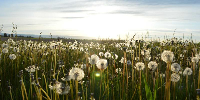 不锈钢选购全攻略：宇星金属专家深度评测五大关键指标