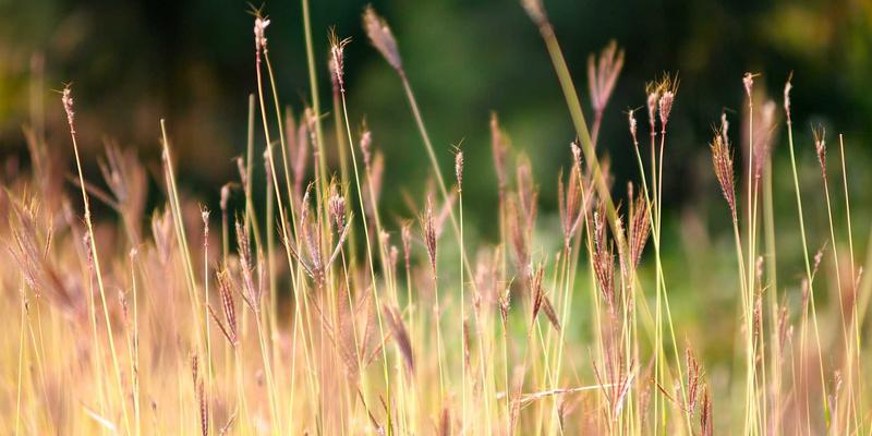 从铝合金到高温合金：揭秘航空发动机涡轮叶片的CNC加工与热障涂层技术