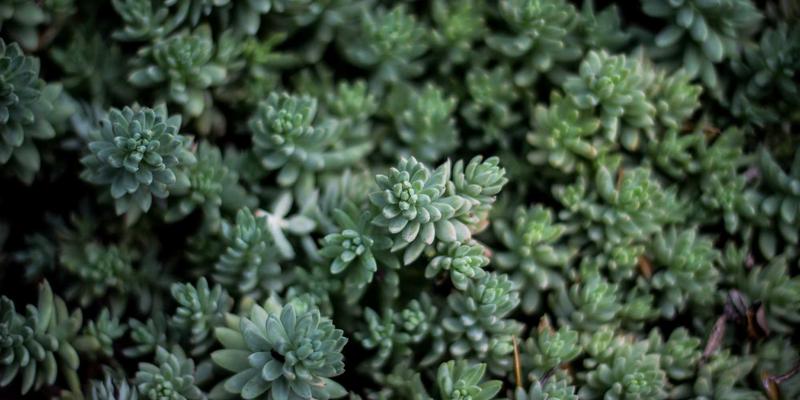 宇星金属解析：核电用锆合金包壳材料的高温氧化行为与寿命预测