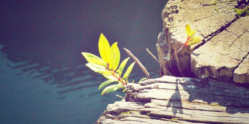 宇星金属解析：航空航天高温合金材料研发突破与性能挑战