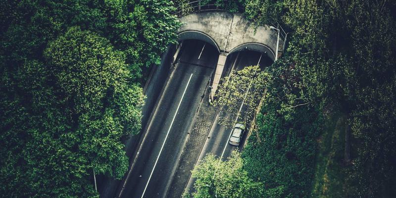 形状记忆合金：微型机器人驱动与控制的革命性金属材料