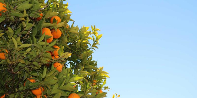 金属材料75与铝合金的创新应用：宇星金属如何引领行业变革