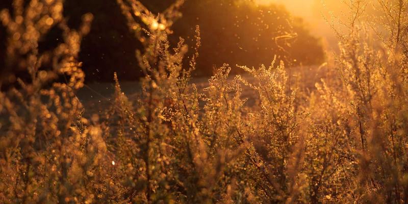 金属材料全攻略:从宇星金属选材到不锈钢精密加工的核心解析