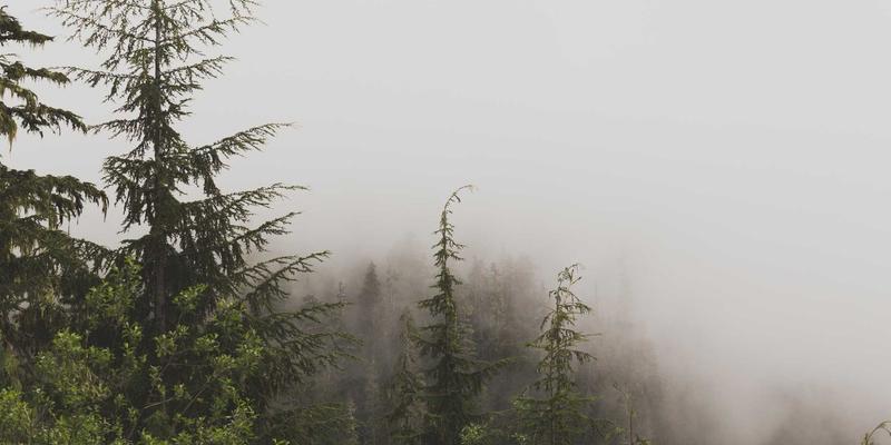 铝合金精密加工的艺术与科学：宇星金属如何定义行业新标准